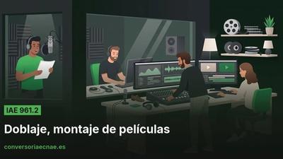 Guía del código IAE 961.2