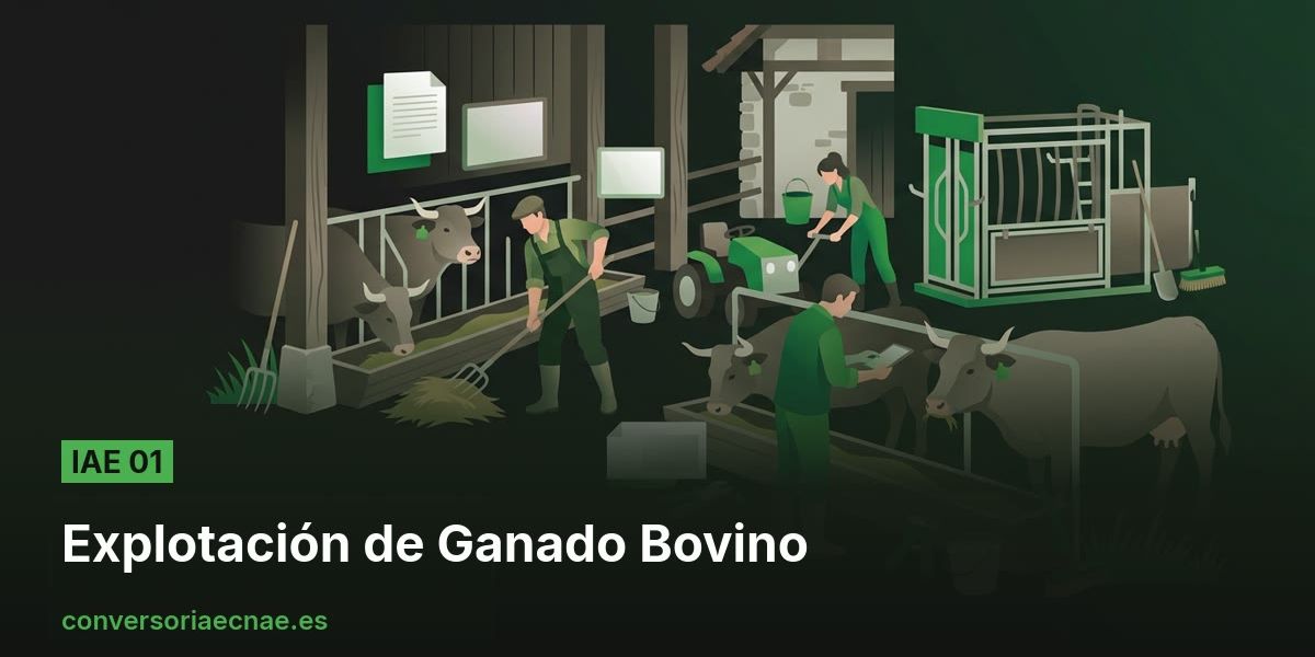 Guía del código IAE 01
