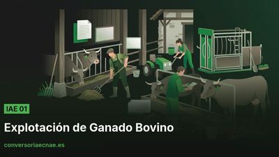 Guía del código IAE 01