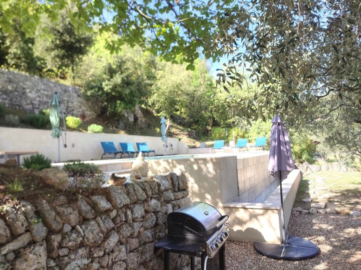 Coin barbecue au pied de la piscine et de ses bains de soleil