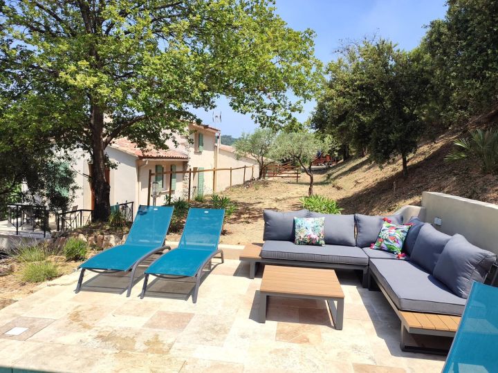 Piscine et salon extérieur sous les oliviers de la bastide