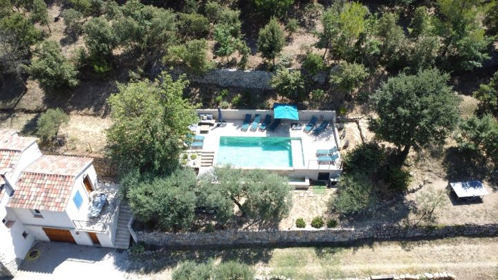 Vue aérienne de la piscine et des oliviers