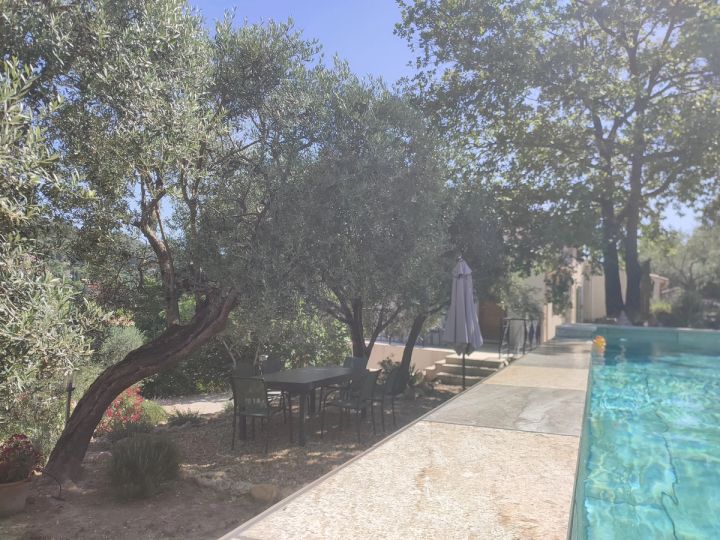 La piscine aperçue entre les oliviers centenaires
