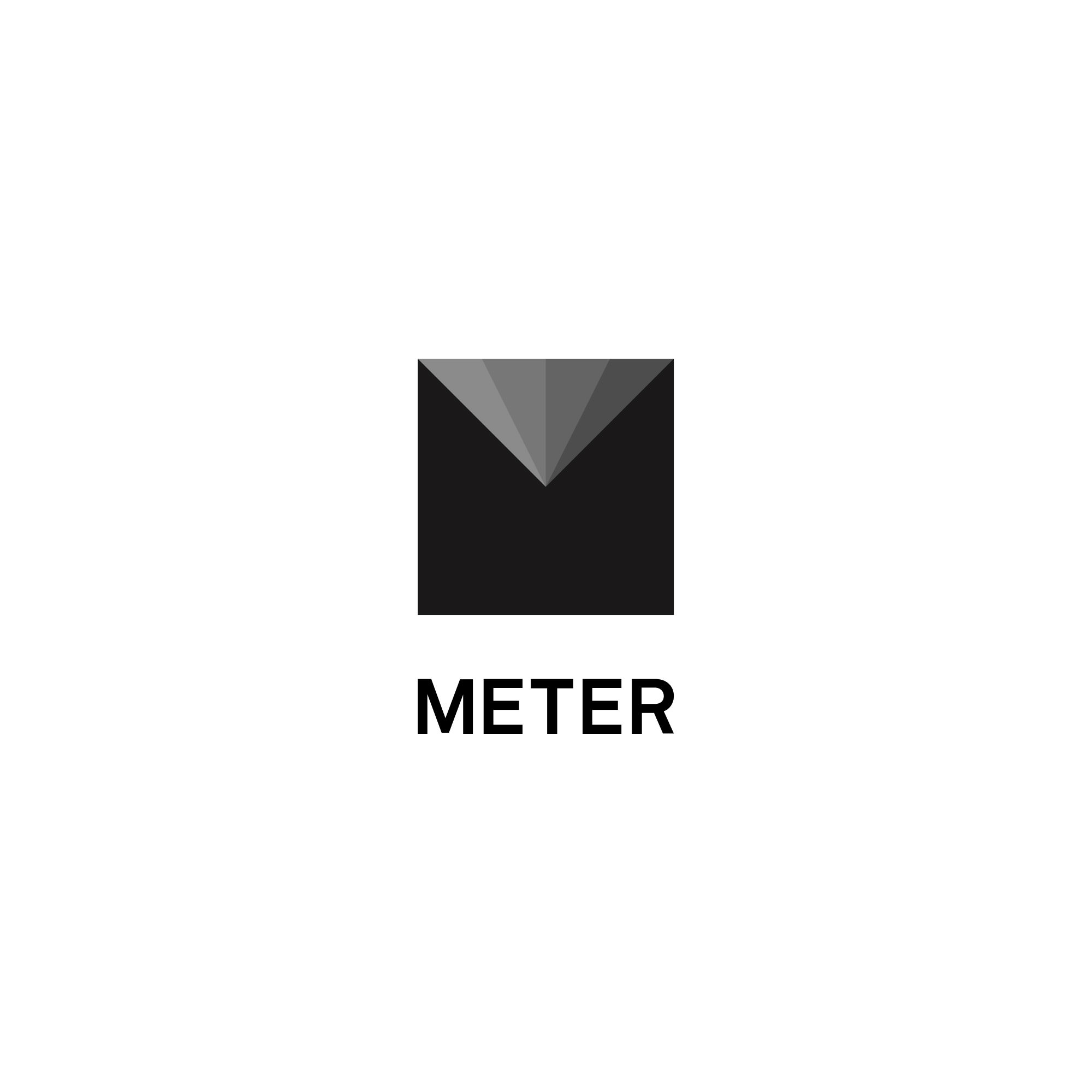 METER Group Logo