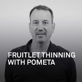Fruitlet Thinning with POMETA