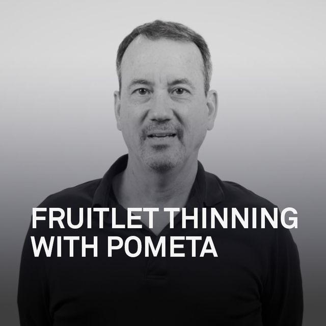 Fruitlet Thinning with POMETA
