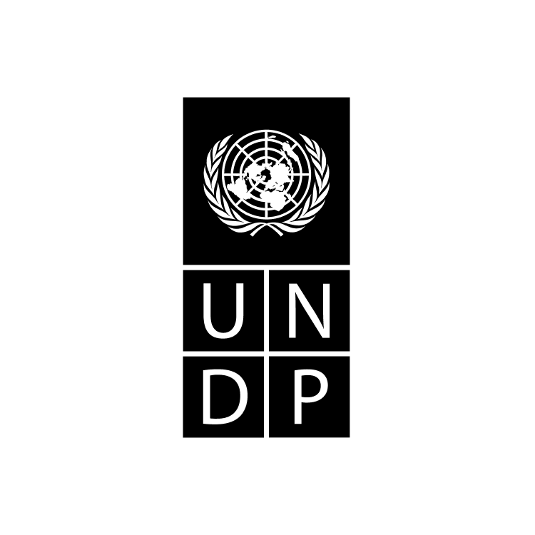 logo_undp black
