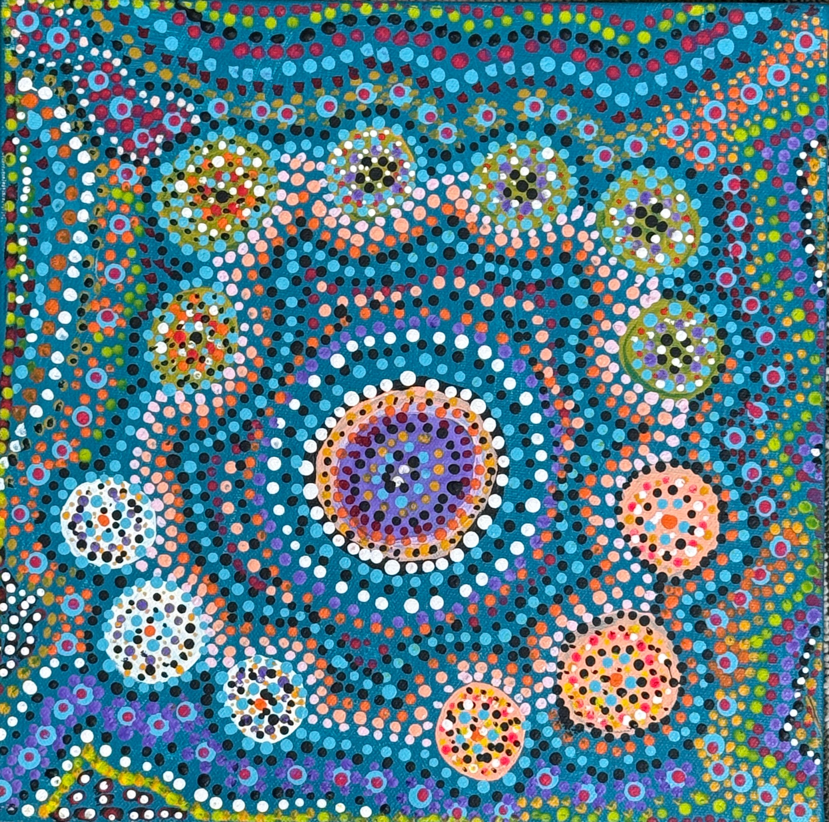 Collecting Bush Seeds by Barbara Cox, acrylic on canvas by Gooniyandi Artists, available at Straddievarious Brisbane art gallery