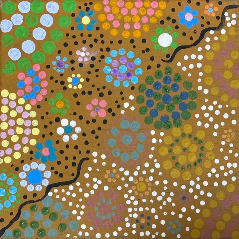 Bush Flowers (Goorloorndu Bardiri) by Barbara Cox, acrylic on canvas by Gooniyandi Artists, available at Straddievarious Brisbane art gallery