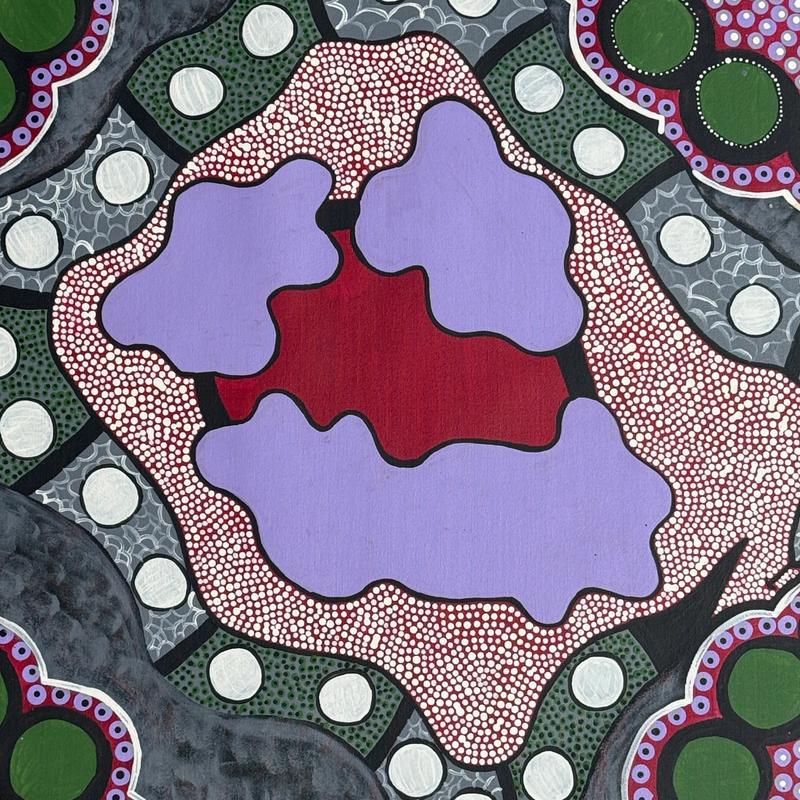 Gillgowa Dreaming by Rowena Cox, acrylic on canvas by Gooniyandi Artists, available at Straddievarious Brisbane art gallery