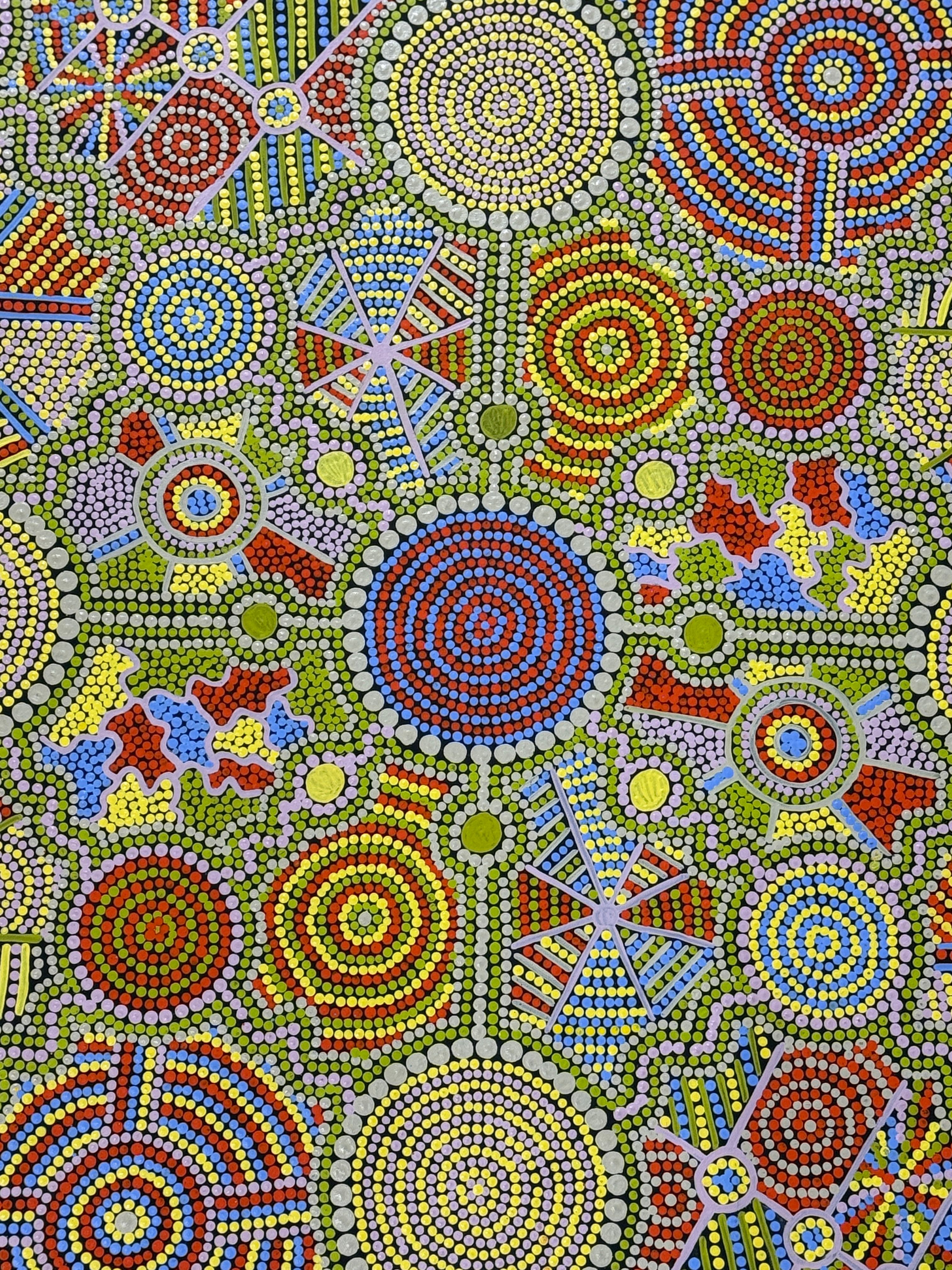 Back Country by Louise Cox, acrylic on canvas by Gooniyandi Artists, available at Straddievarious Brisbane art gallery