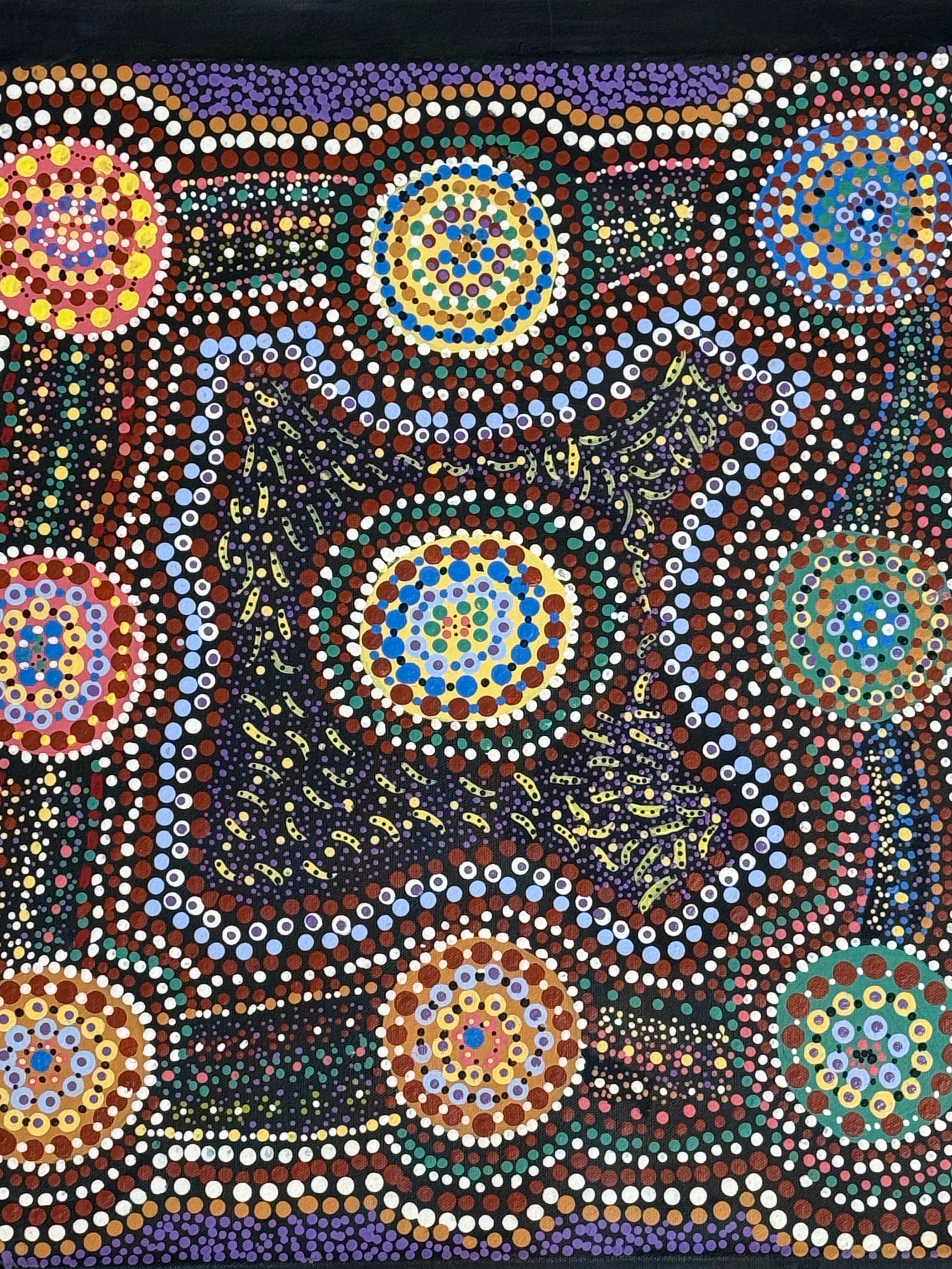 Seeds Across My Country by Barbara Cox by Gooniyandi Artists, available at Straddievarious Brisbane art gallery