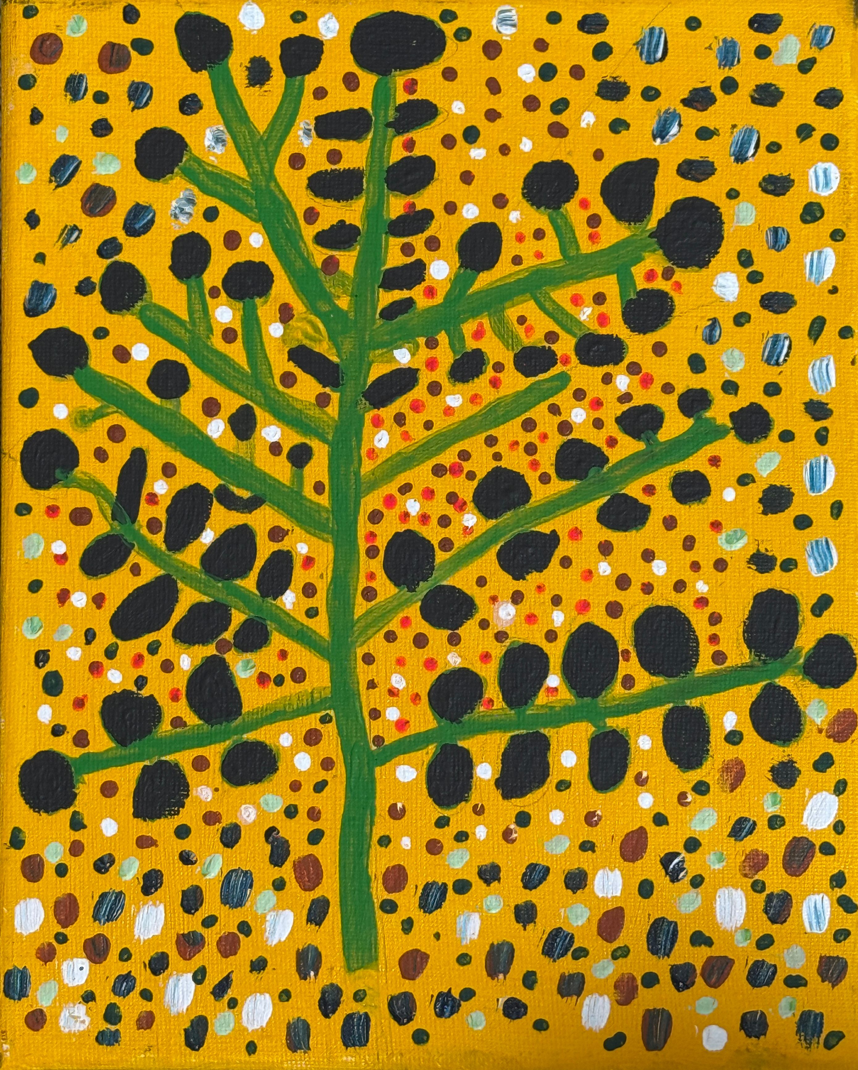 Bush Plums by Susan Campbell, acrylic on canvas by Gooniyandi Artists, available at Straddievarious Brisbane art gallery