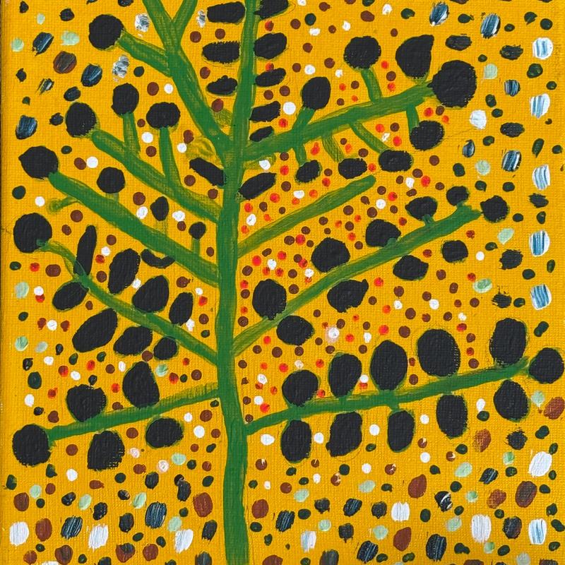 Bush Plums by Susan Campbell, acrylic on canvas by Gooniyandi Artists, available at Straddievarious Brisbane art gallery