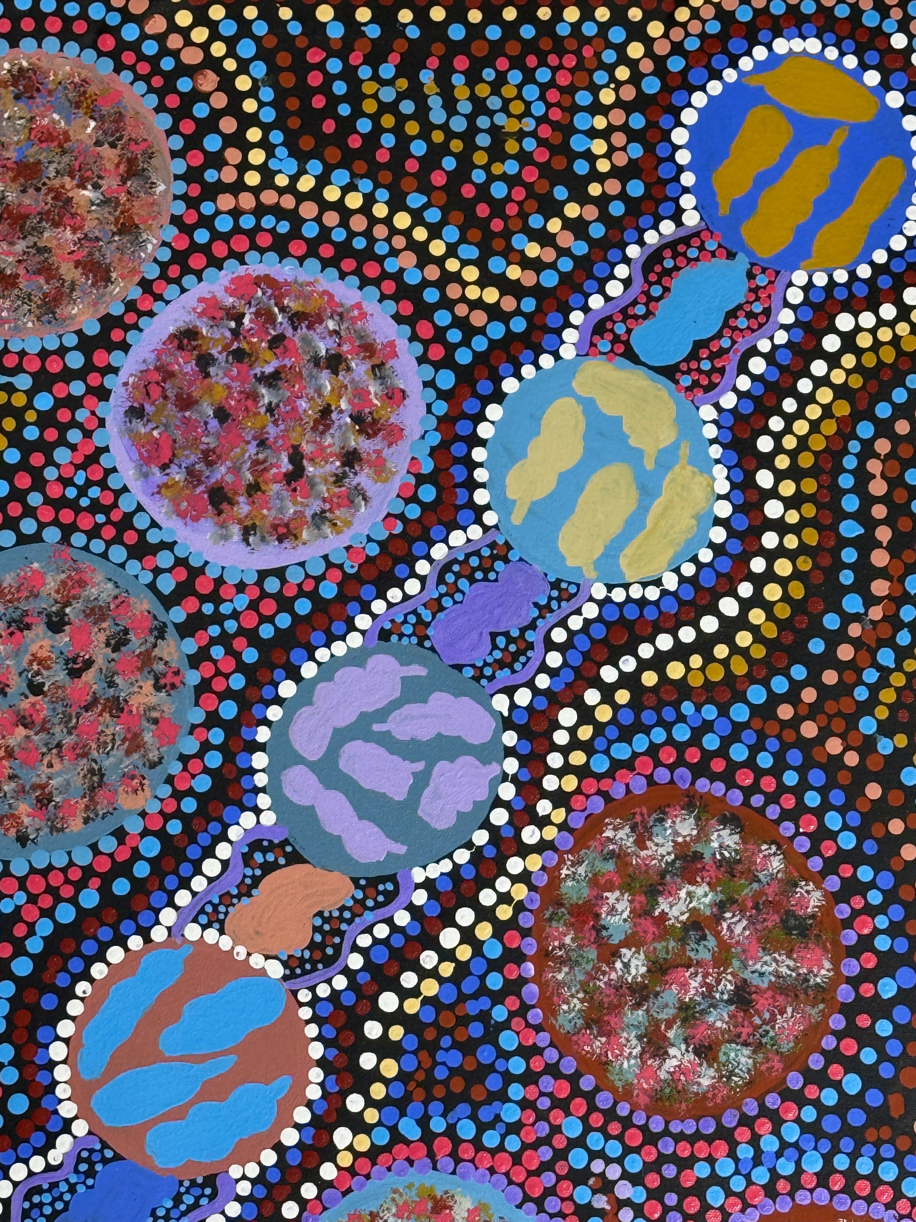 Goorloorndoo Garlibirlibi (Bush Seeds) by Barbara Cox by Gooniyandi Artists, available at Straddievarious Brisbane art gallery
