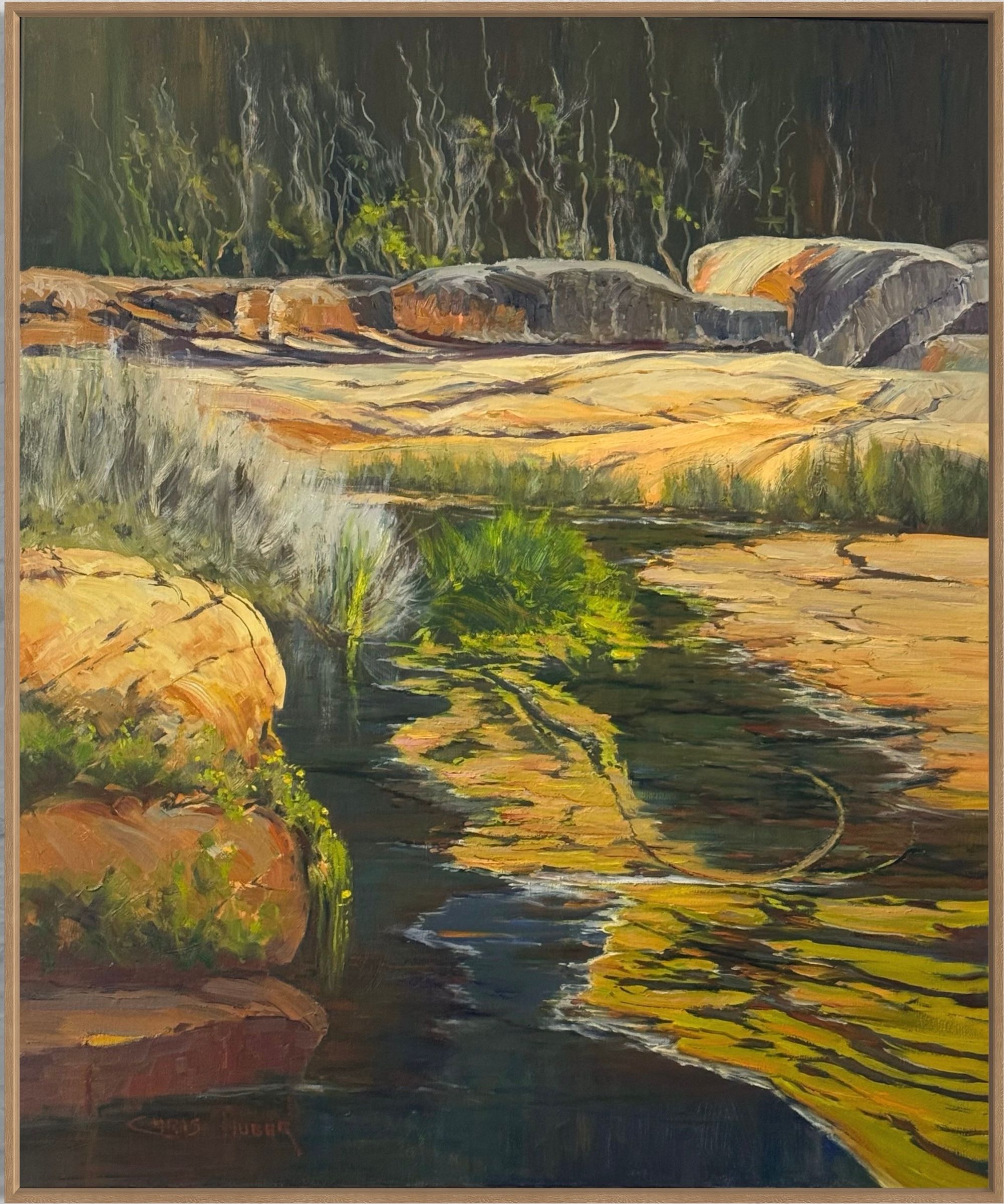 Tidal Remants by Chris Huber Fine Art, available at Straddievarious Brisbane art gallery