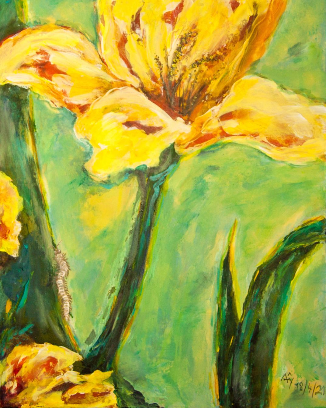 Yellow Floral, acrylic on canvas unframed by A'ysha, available at Straddievarious Brisbane art gallery