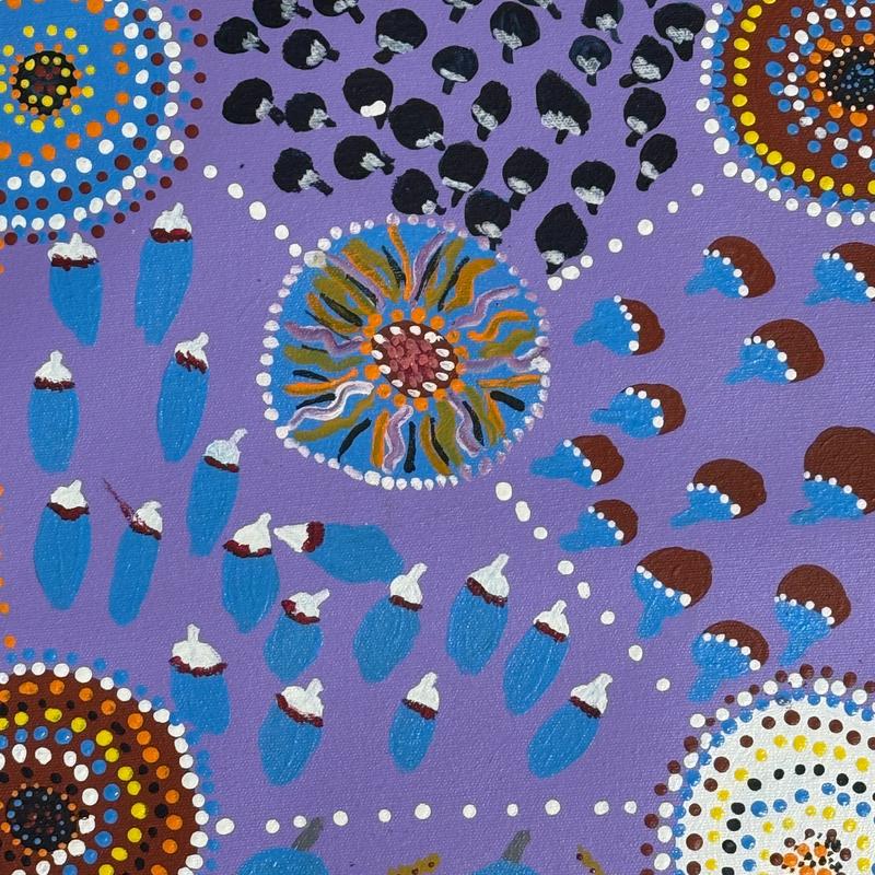 Bush Seeds and Bush Tucker by Barbara Cox by Gooniyandi Artists, available at Straddievarious Brisbane art gallery