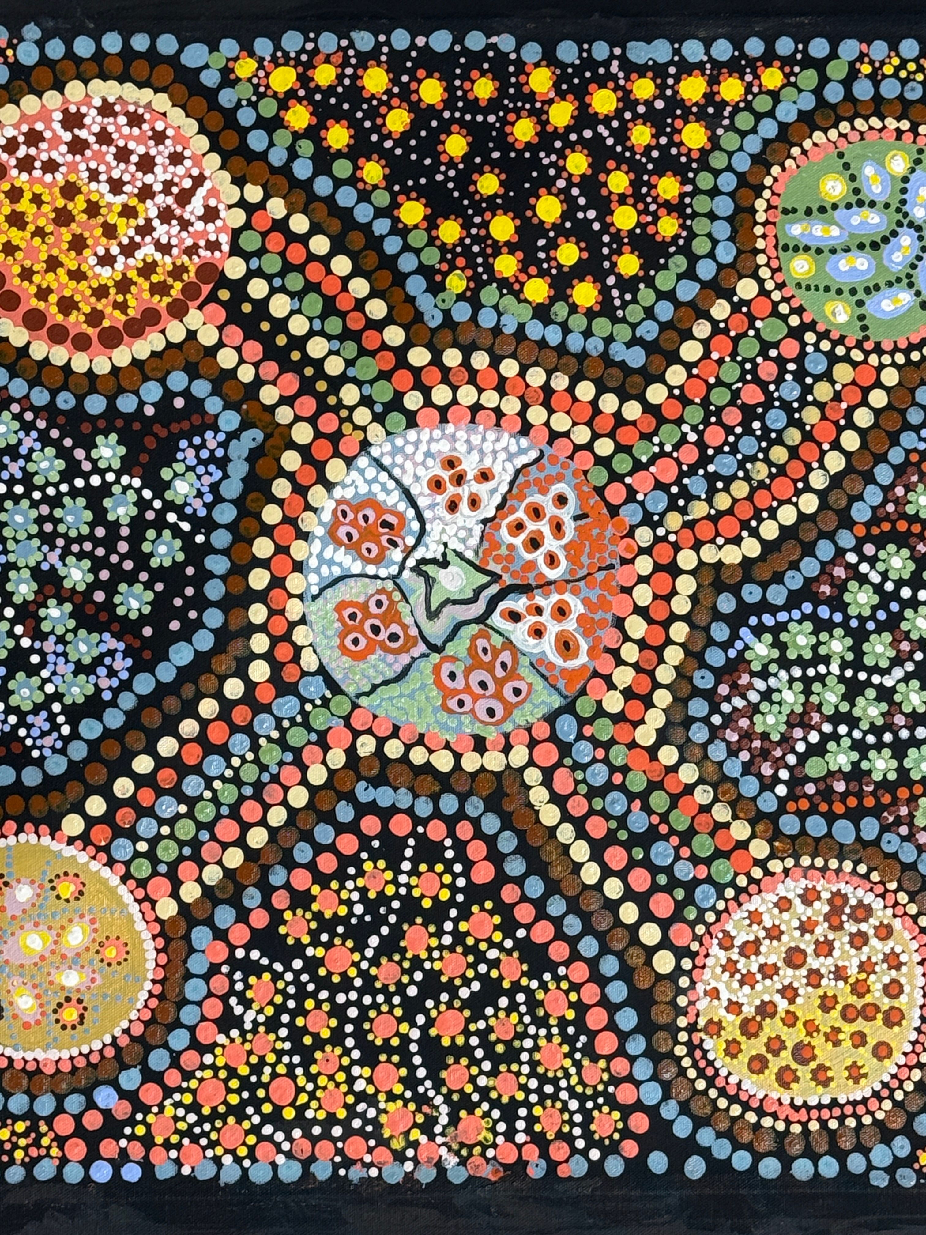 Seeds by Barbara Cox by Gooniyandi Artists, available at Straddievarious Brisbane art gallery