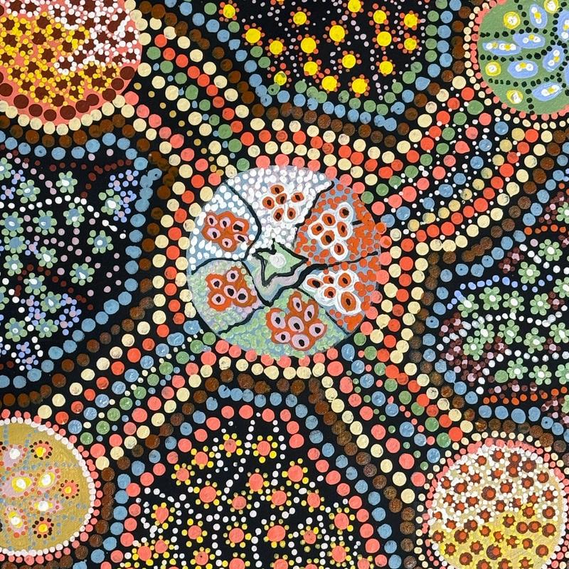 Seeds by Barbara Cox by Gooniyandi Artists, available at Straddievarious Brisbane art gallery