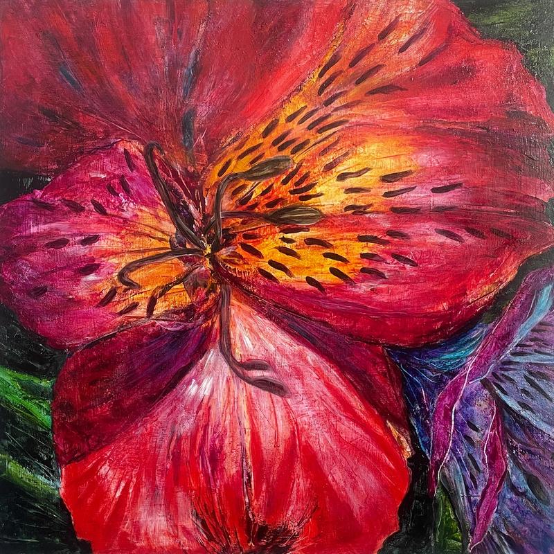 Peruvian Lily, acrylic on canvas by A'ysha, available at Straddievarious Brisbane art gallery