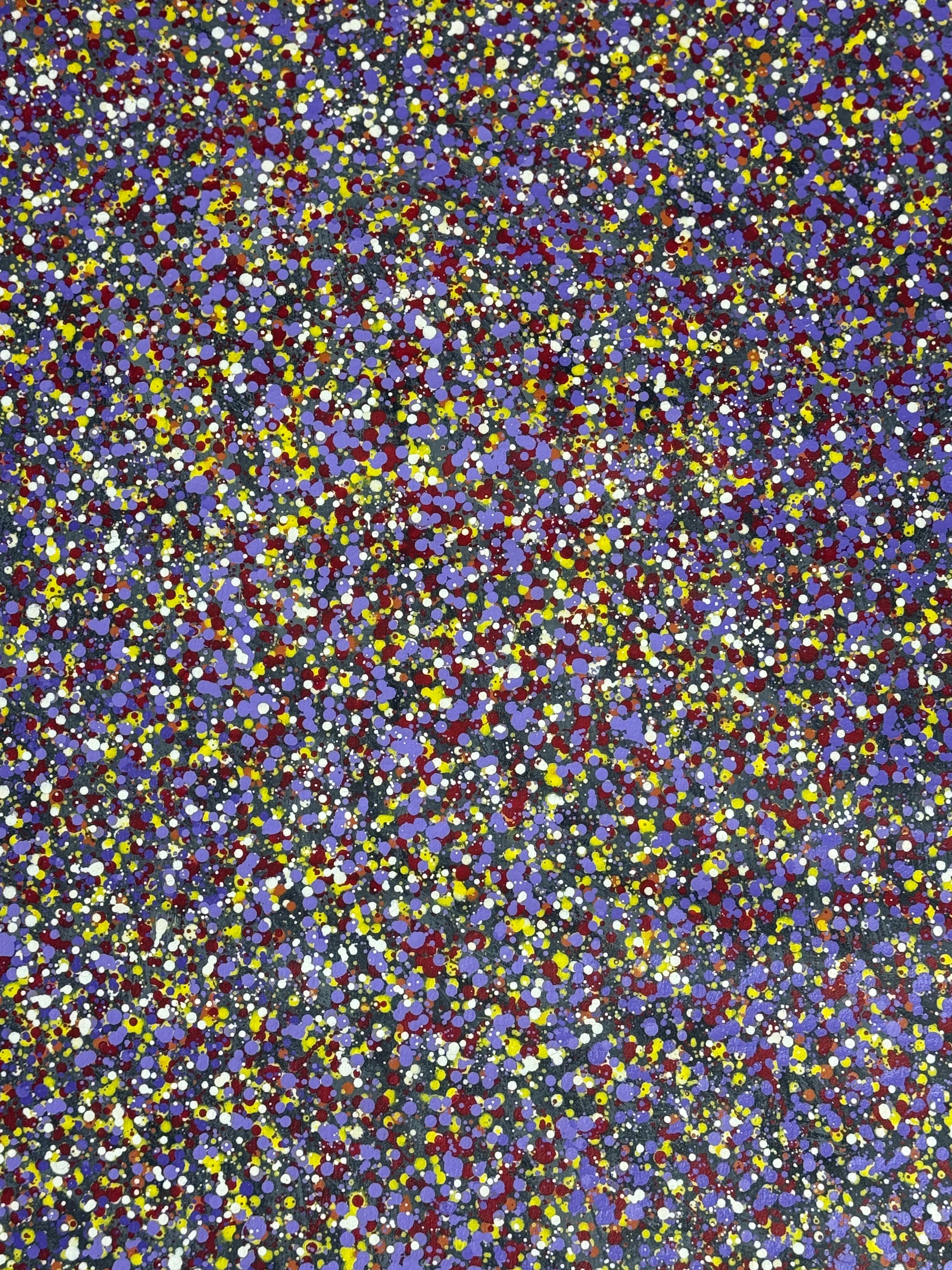 Kimberley Bloom by Charlie Gilligan, acrylic on canvas by Gooniyandi Artists, available at Straddievarious Brisbane art gallery
