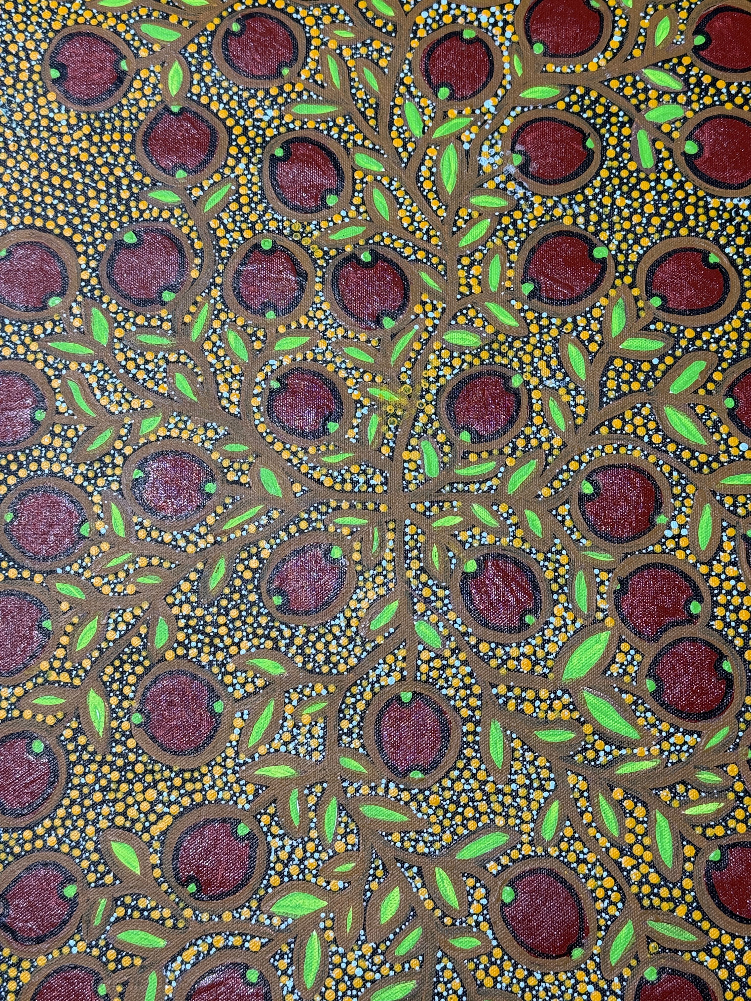 Bush Fig by Marion Cox, acrylic on canvas by Gooniyandi Artists, available at Straddievarious Brisbane art gallery