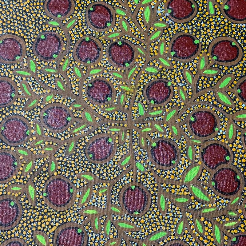 Bush Fig by Marion Cox, acrylic on canvas by Gooniyandi Artists, available at Straddievarious Brisbane art gallery