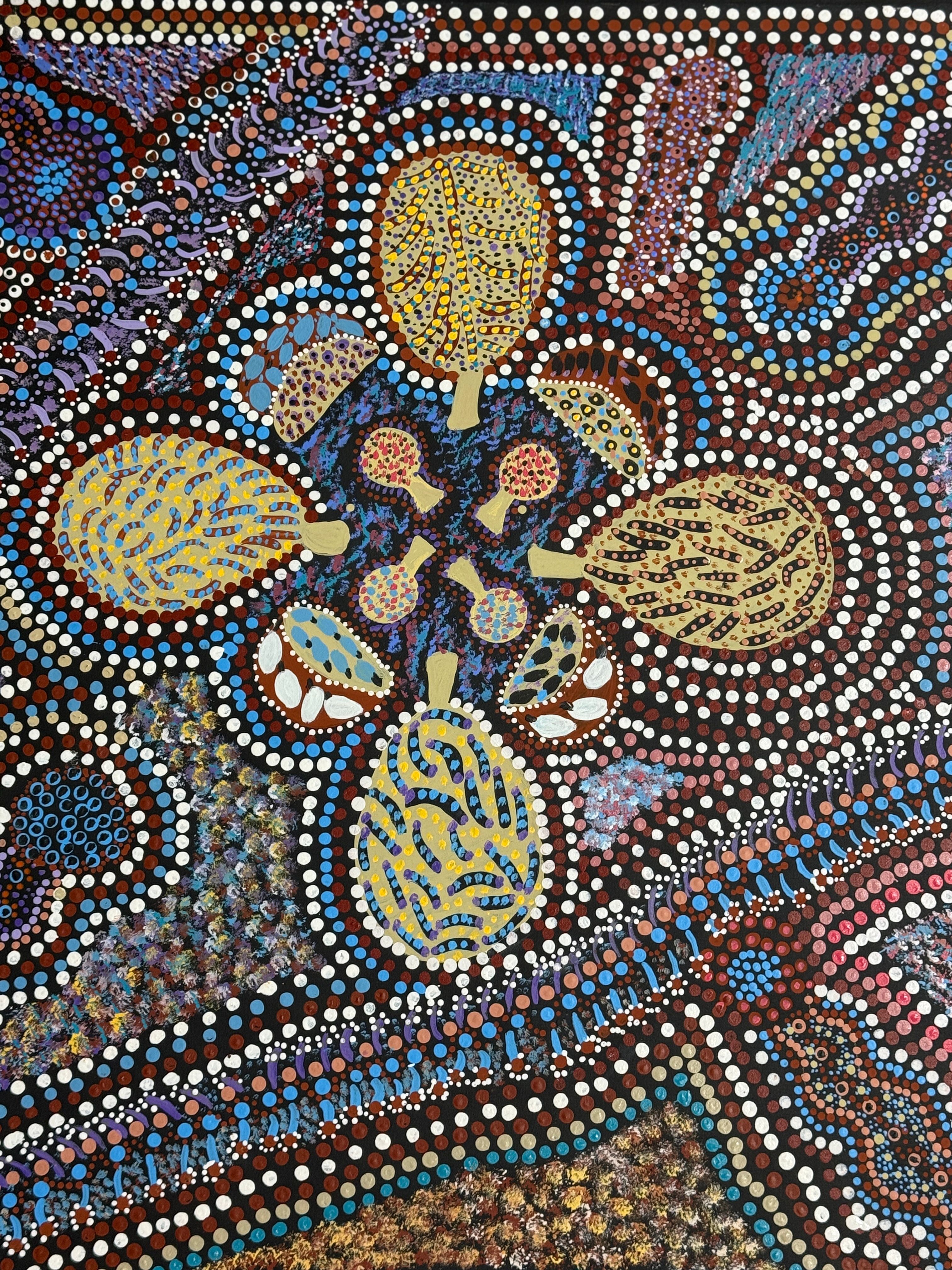 Bush Food Hunting by Barbara Cox by Gooniyandi Artists, available at Straddievarious Brisbane art gallery