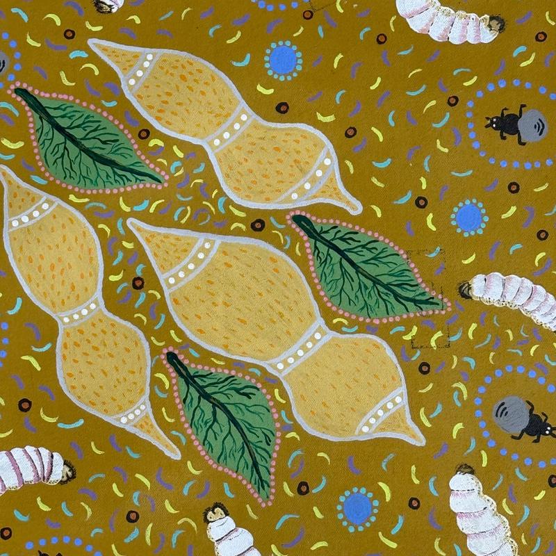 Untitled 2 by Halimah Cox by Gooniyandi Artists, available at Straddievarious Brisbane art gallery