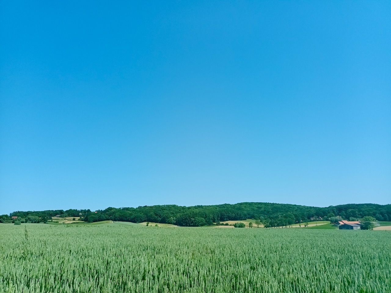 Mont Noir