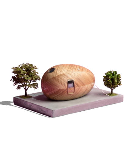 Exbury Egg — SPUD / PAD Studio