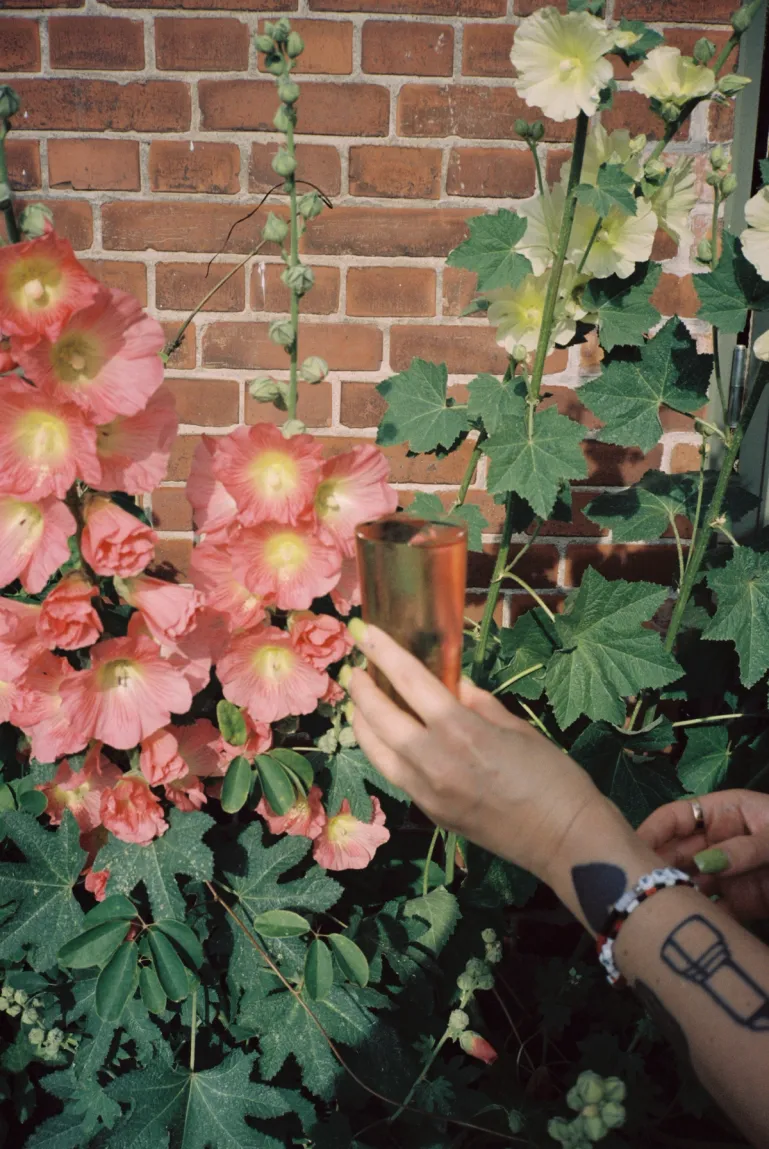 hand holding a cocktail on the outside patio with hollyhocks growing in the background