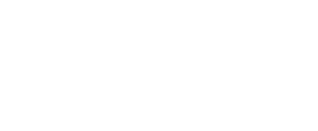 The Baltimore Sun Logo Graphic