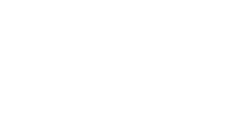 The Daily Record Logo Graphic