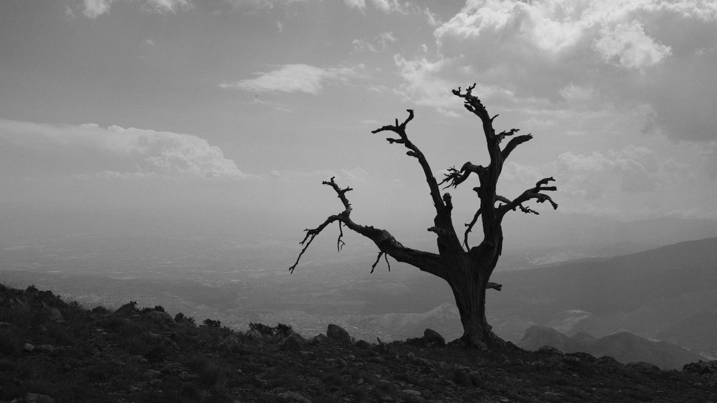 Silenzio assordante