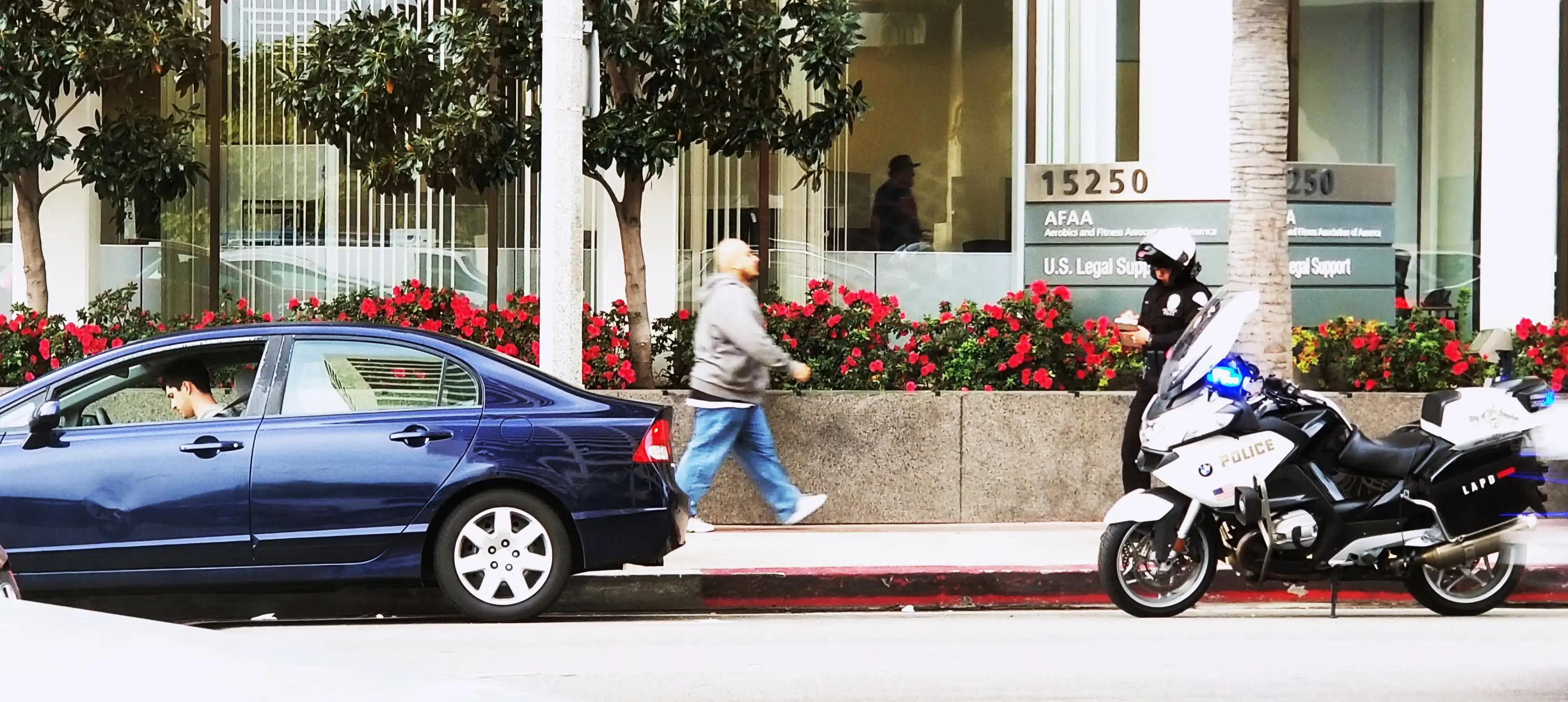 Traffic Ticket Dismissal