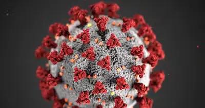 What to do if you get a ticket or citation during the COVID-19 quarantine
