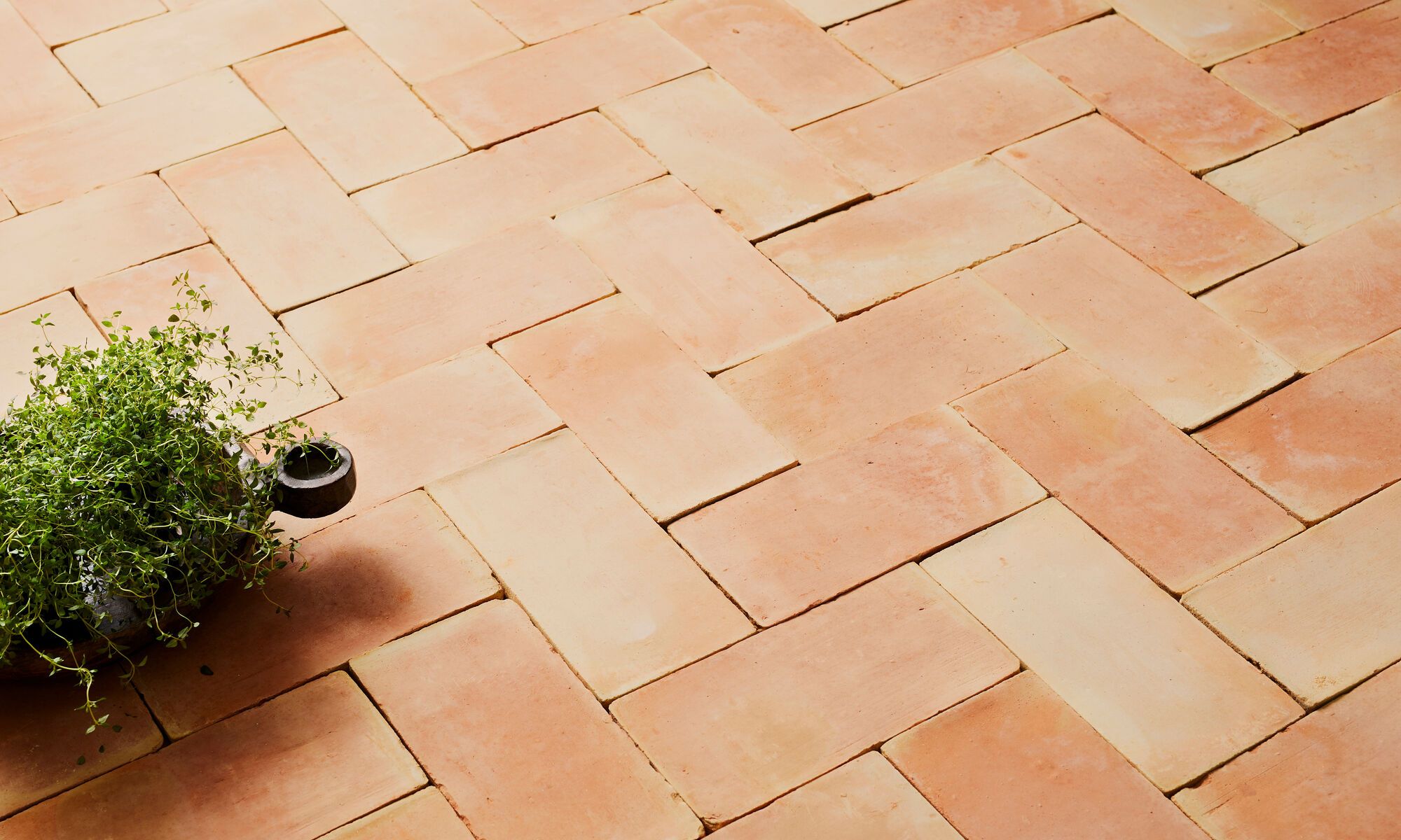 Terracotta