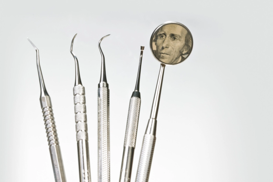 The Best Pre-Dental Programs in Every State | Leland