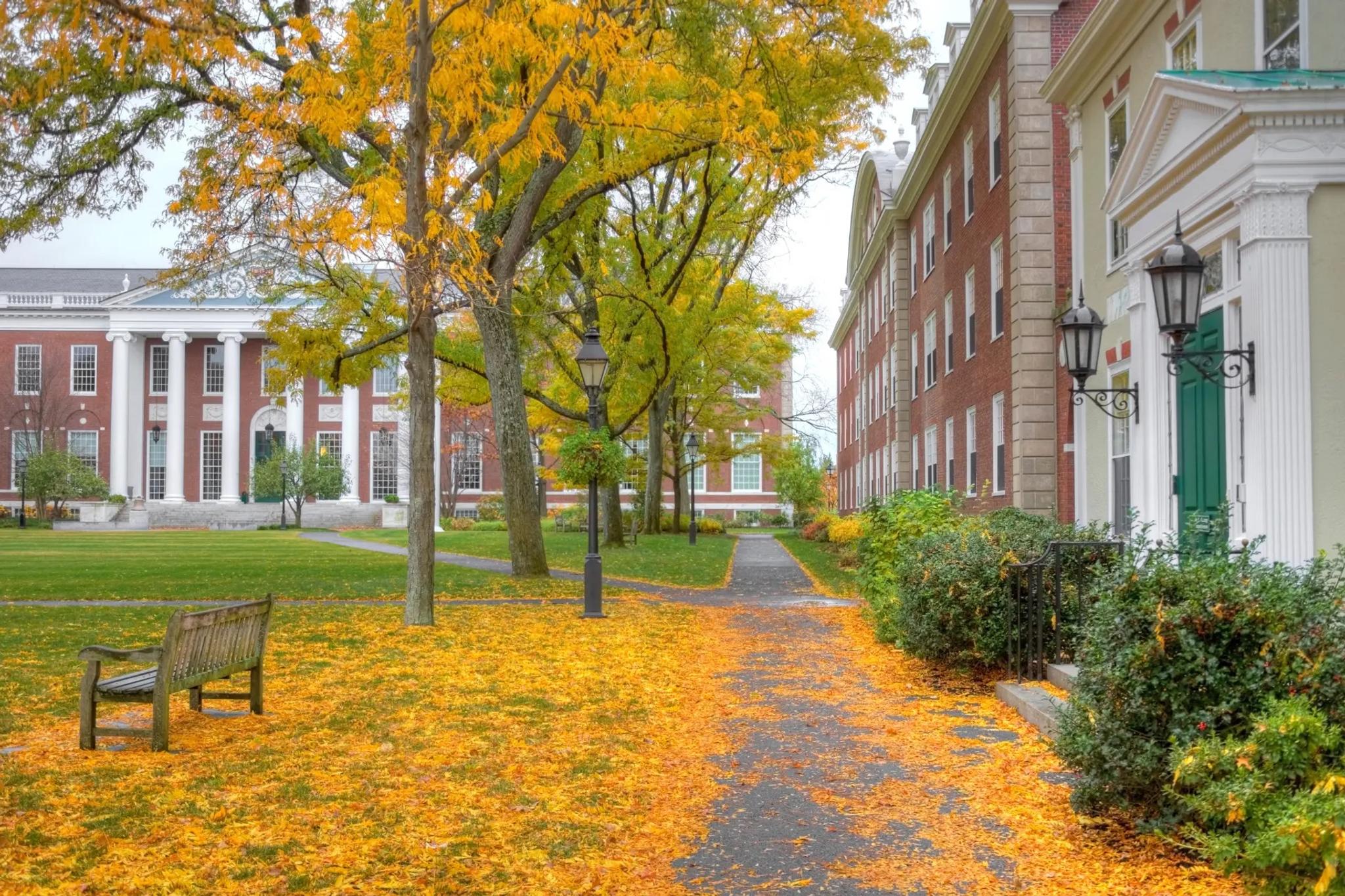 The Top 25 Dental Schools and How to Get In Leland