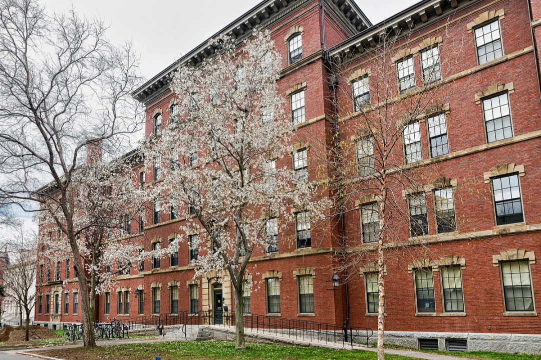 The Best Medical Schools for Obstetrics & Gynecology (OB-GYN) | Leland