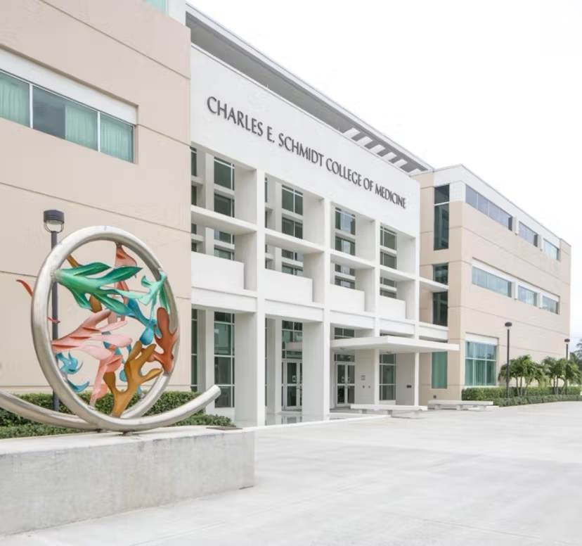 The Top 10 Medical Schools in Florida | Leland