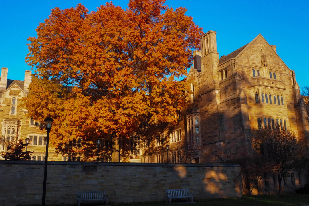 UCLA Anderson MBA Application Deadlines 2024 2025 Leland ucla-anderson-mba-application-deadlines-2024-2025-leland
