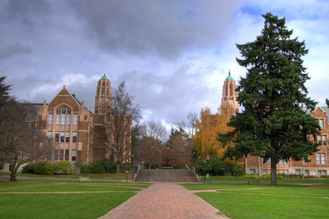 UW Dental School Requirements What You Need to Apply Leland