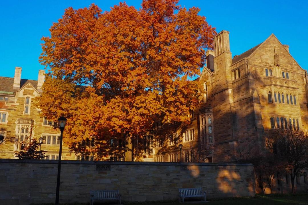 How to Get Into Yale Law School (2025) Leland