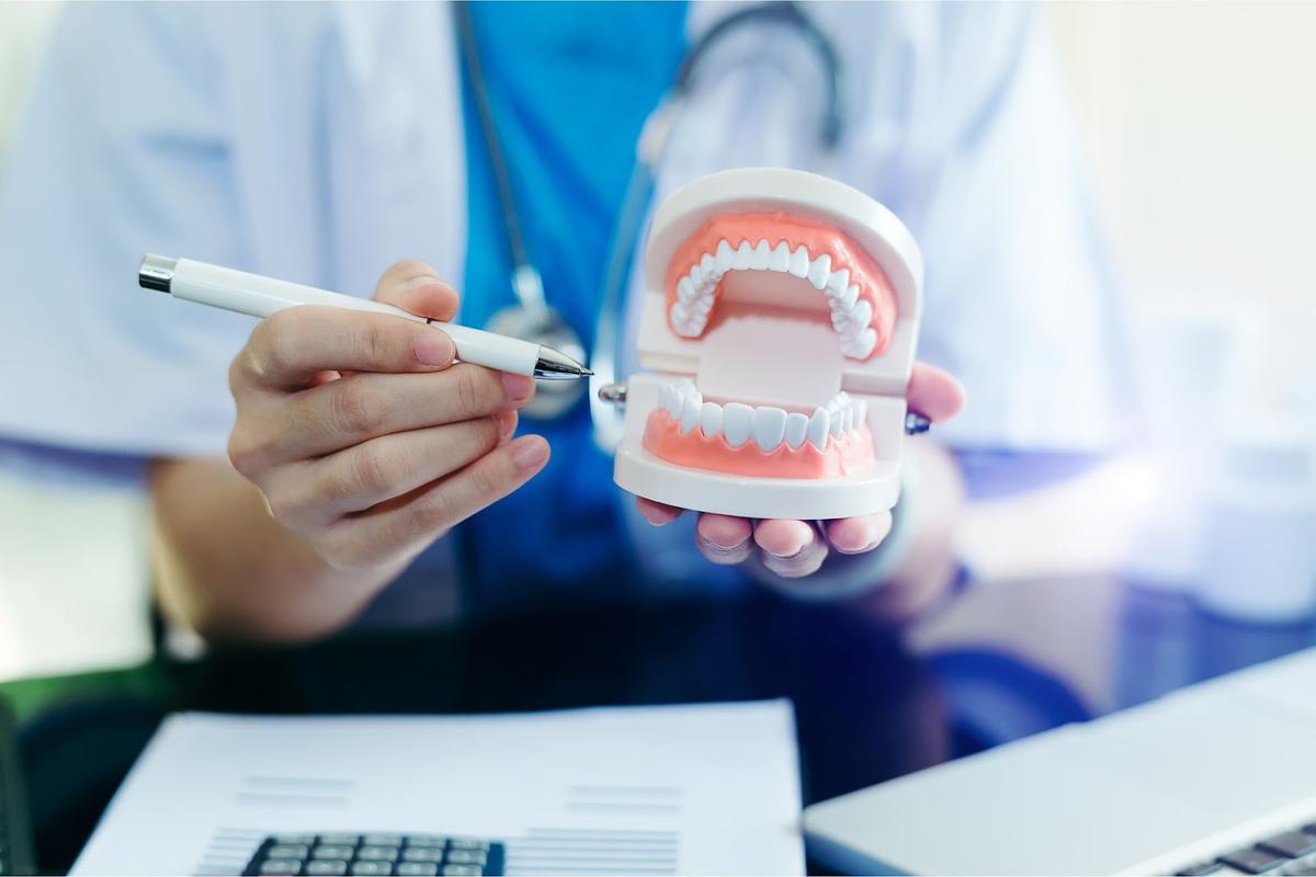 How Much Does It Cost to Go to Dental School (2025) Leland