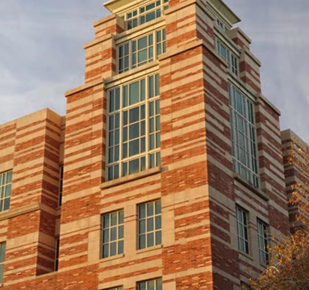 How to Get Into UCLA Law (20242025) Leland