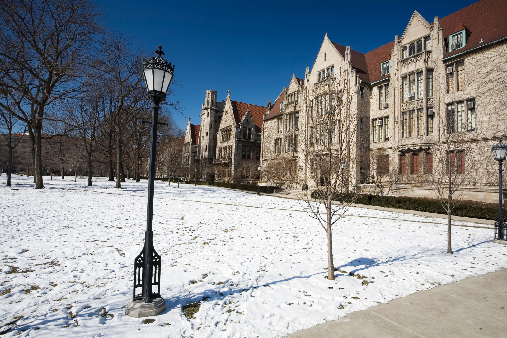 Chicago Booth MBA Class Profile: Key Insights & Takeaways | Leland