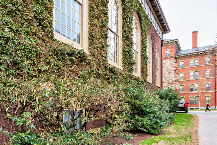 The Ivy League Schools: What They Are & How to Get In | Leland